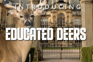 Educated Deers: A Bold Font for Polished Branding
