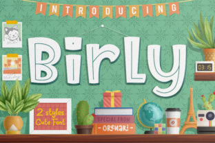 How Birly Transformed My Campaign Visuals